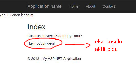 Else koşulu